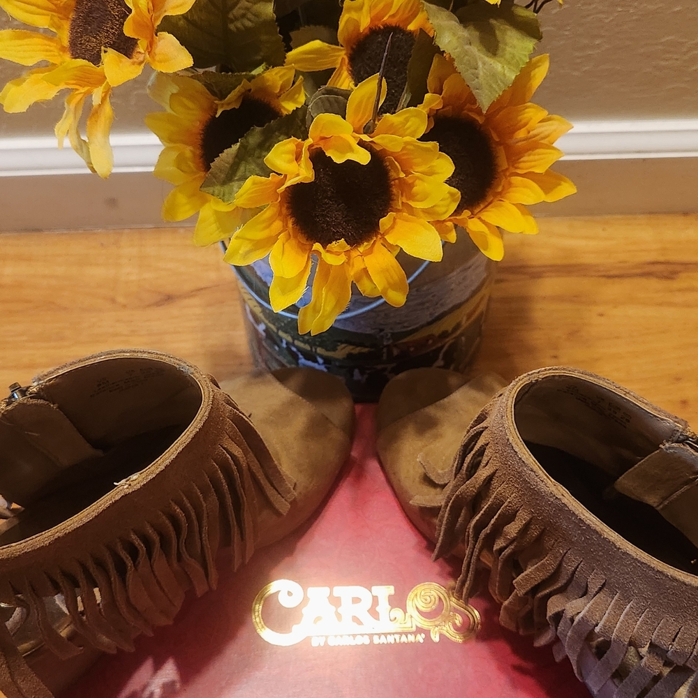 Brown Fringe Sandals by Carlos Santana
